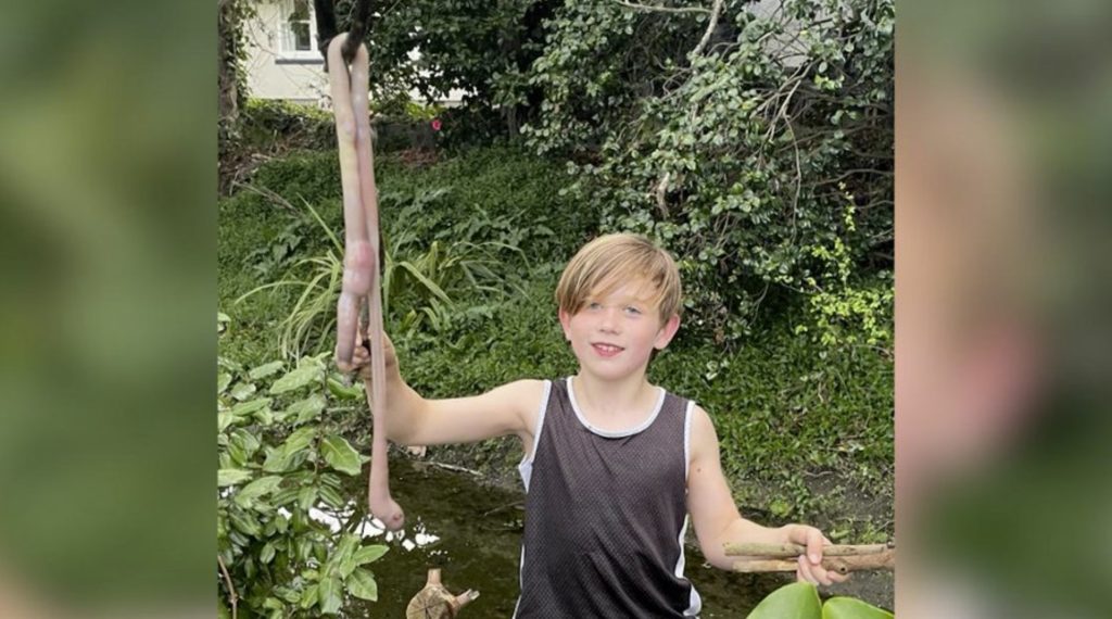 Barnaby Domigan, 9, found an earthworm that he and his mom estimate was about a meter long at the bottom of his family’s garden in New Zealand