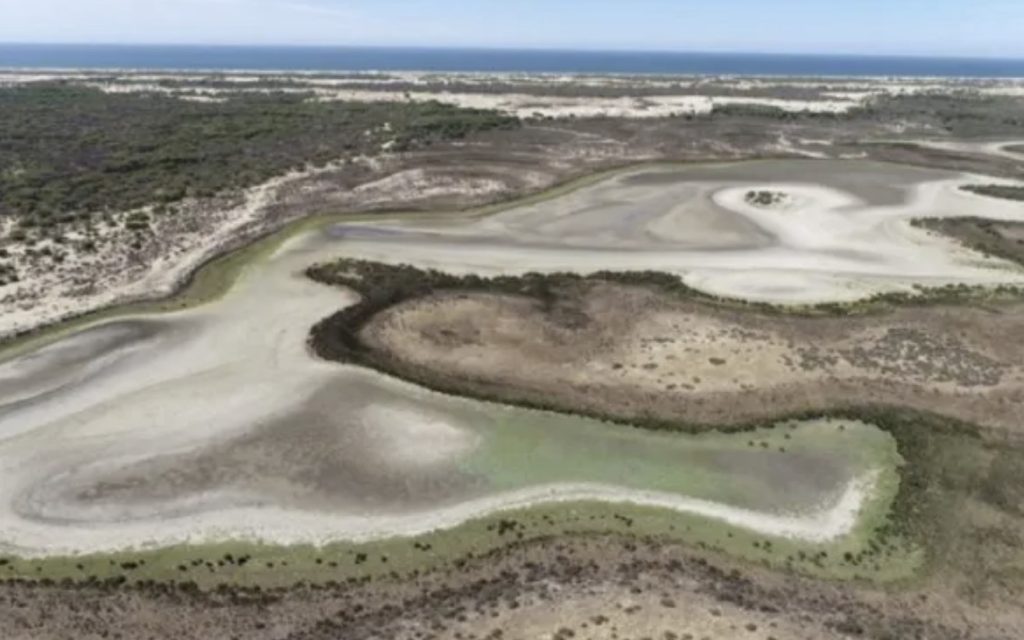 The last permanent lagoon in Doñana Natural Park dried up, spain, andalucia