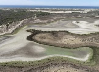 The last permanent lagoon in Doñana Natural Park dried up, spain, andalucia