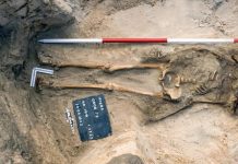 Skeleton of female vampire unearthed at cemetery in Poland
