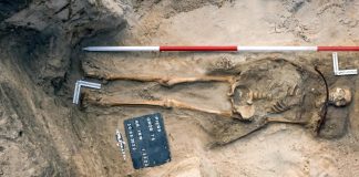 Skeleton of female vampire unearthed at cemetery in Poland