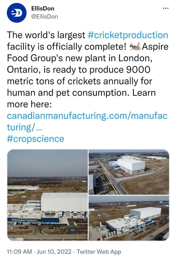 The world largest cricket production facility in London, Ontario is guaranteed not to burn mysteriously