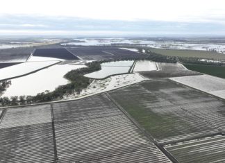 Crops on the verge of harvest have been wiped out by floods in parts of Australia. Picture by Rabbit Hop Films