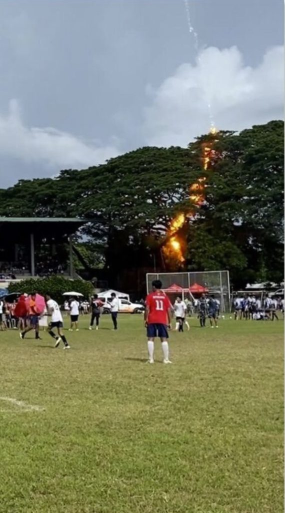 A referee miraculously survived being electrocuted when lightning struck a tree during a football match
