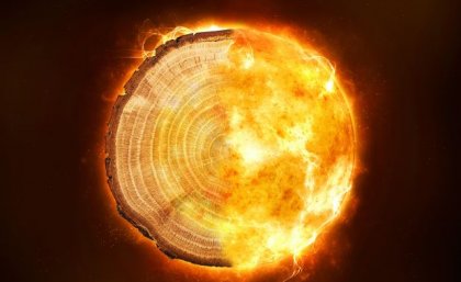 Tree rings offer insight into devastating radiation storms