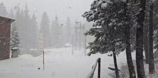 12 inches of snow in 24 hours covers California mountainside