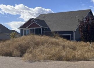 Tumbleweed apocalypse buries house in Colorado