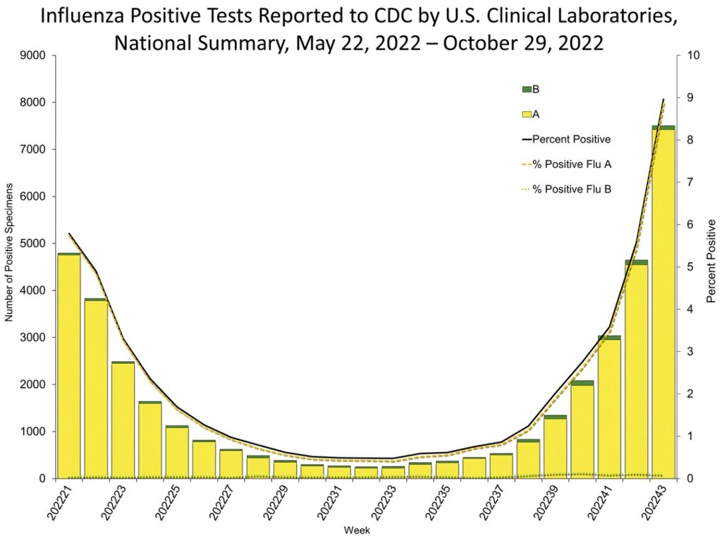 US Influenza epidemic November 2022