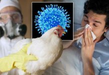 bird flu outbreak USA 2022