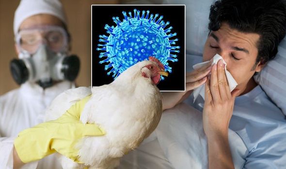 Вспышка птичьего гриппа в США в 2022 г.