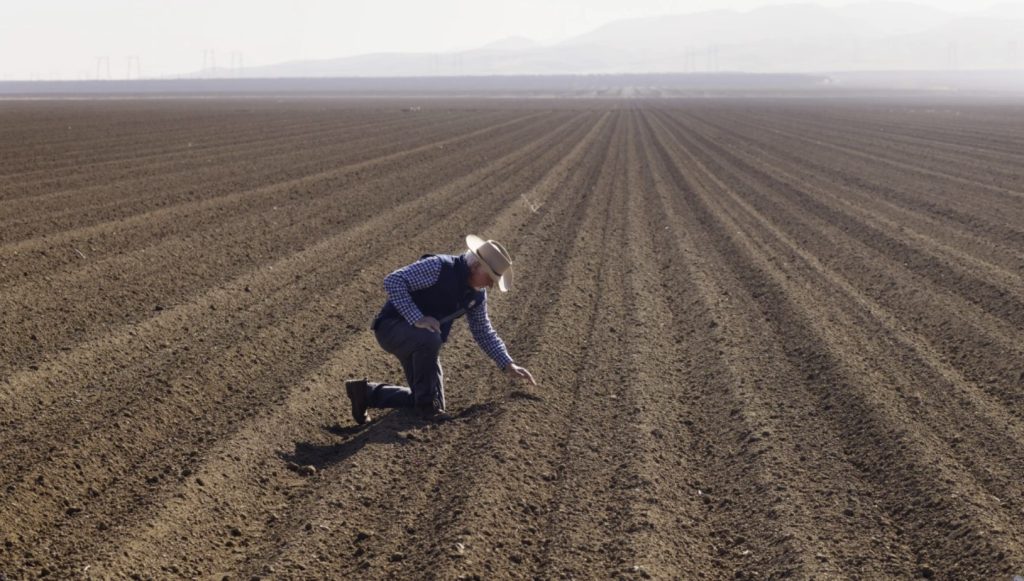Калифорнийские фермеры в прошлом году потеряли около 1,1 миллиарда долларов и оставили под паром тысячи акров земли в результате продолжающейся мегазасухи, охватившей запад.