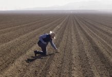 California farmers last year lost an estimated $1.1 billion and fallowed thousands of acres of land as a result of the ongoing mega-drought gripping the west.