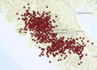 Earthquake swarm on Vancouver Island in early January 2023