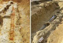Giant sword and mirror on 5-meter-long coffin found in Japan