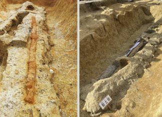 Giant sword and mirror on 5-meter-long coffin found in Japan