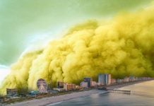 Massive pollen storm engulfs Myrtle Beach, SC in pictures and videos Pollen storm Myrtle Beach in South Carolina, Pollen storm Myrtle Beach in South Carolina photo, Pollen storm Myrtle Beach in South Carolina video