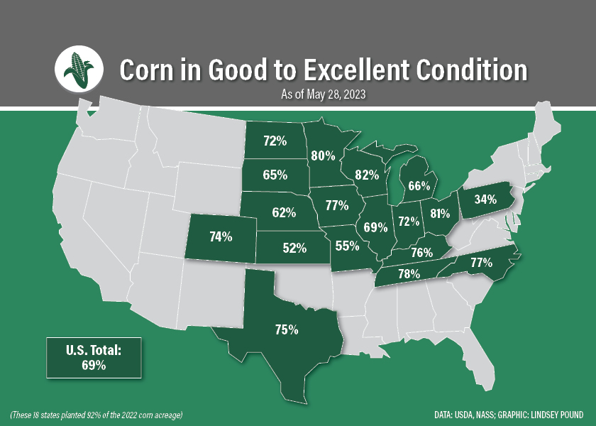 Corn Condition across US