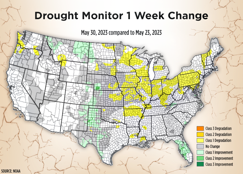 US corn belt hit by drought 34 percent corn damaged by drought