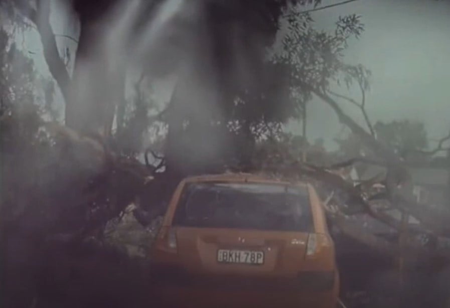 Mind-blowing moment driver cheated death when lightning strike exploded the tree beside his car in Mudgee, Australia