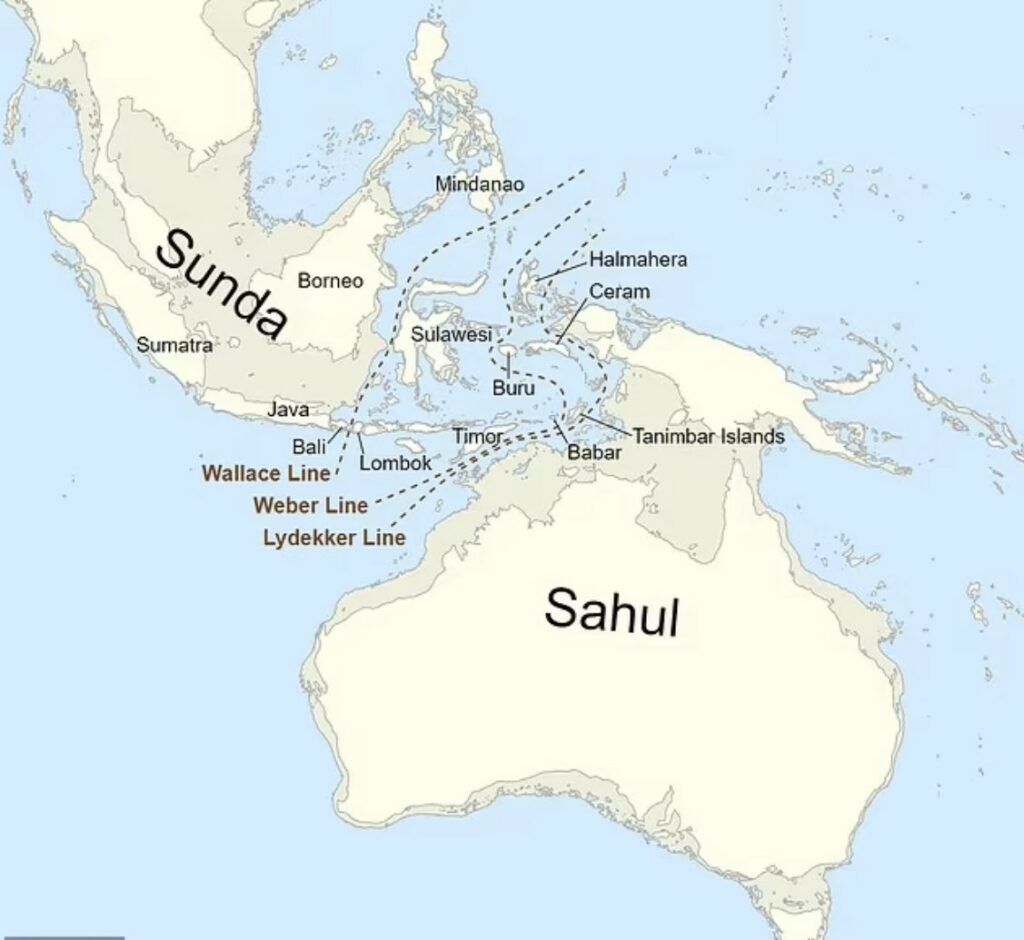 Sahul was a supercontinent made up of the present-day landmasses of Australia, Tasmania, and New Guinea 