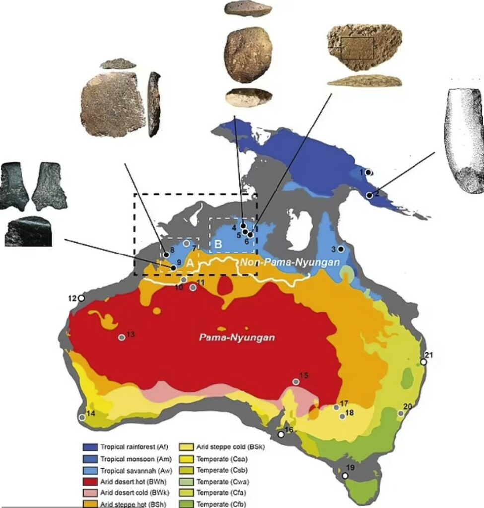 North West Shelf (indicated here by a dashed black box) was likely a 'single cultural zone' with similarities in ground stone-axe technology and styles of rock art. Pictured, early axe technology found in Australia within and outside of the North West Shelf region 