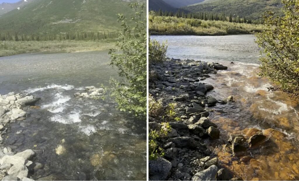 Alaska's once crystal-clear rivers now resemble dirty orange soda, puzzling researchers