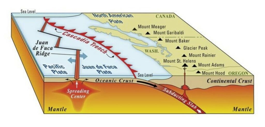 Cascadia Trench earthquake