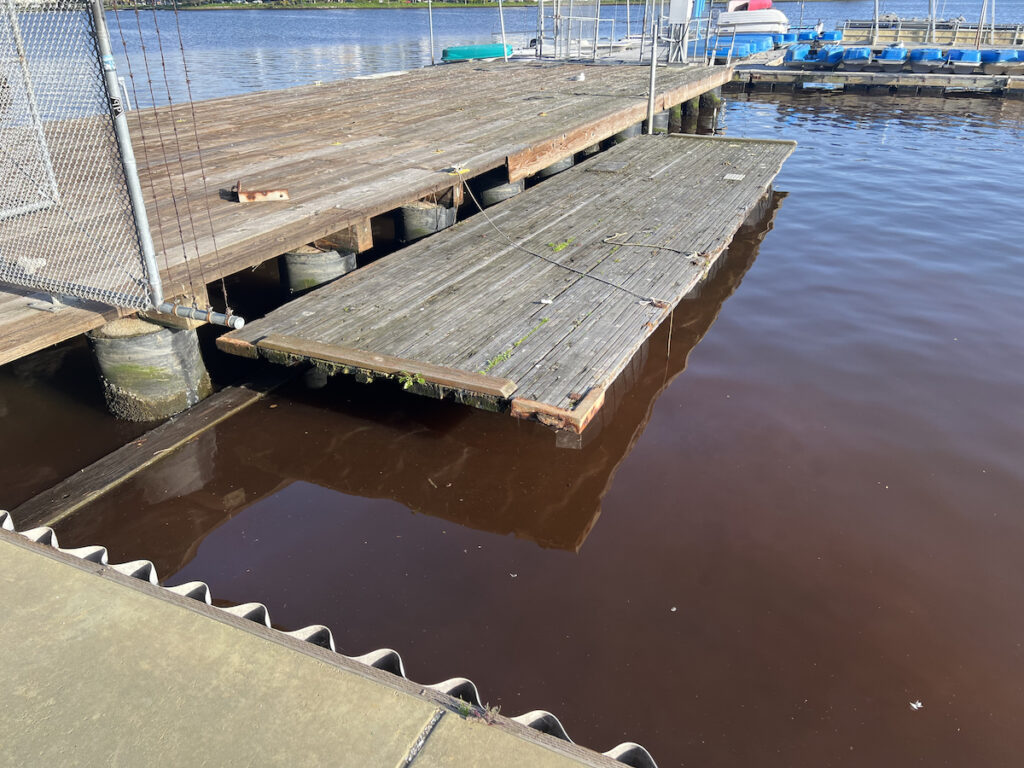 A red substance was visible in the water between the Lake Merritt Sailboat House and the Rotary Nature Center on March 7, alarming people involved in looking after the lagoon’s health.