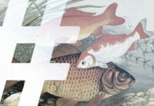 Collective memory manipulation! Nearly a decade of early Chinese internet content no longer exists Nearly a decade of early Chinese internet content no longer exists