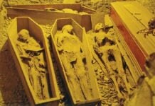 Was he on a crusade? Migrant charged with destroying crypt in 1,000-year-old Dublin church containing mummified remains of Crusaders