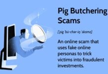 Pig butchering: How Americans are losing their life savings to crypto fraud pig butchering scam crypto