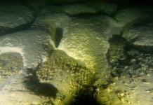 Geological anomaly: 40 strange circles on the lakebed of Lake Michigan are actually 40 huge craters – and scientists scratch their heads…