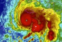 Snakebite Resurrection, Ancient DNA, Nike’s Cyborg Shoes – Strange News Digest for October 27, 2025 Infrared satellite image of Hurricane Melissa as a Category 5 storm approaching Jamaica for the strange news digest of October 25, 2025.