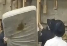 Devil Bees, Cover-Ups, Drone Wars & Black Hole Flares – Strange News Digest for Nov 11, 2025 Strange News Digest — devil bees, drones, collapsing cities, and black hole flare | November 11, 2025