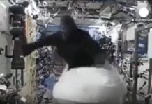 Space Gorillas, Drone Warfare, Volcanoes Reawakening and Ancient Eruptions Responsible for Plagues – Strange News Digest for December 5, 2025 Astronaut on the International Space Station wearing a gorilla suit as part of a prank, floating in zero gravity inside the ISS module. For the strange news digest of December 5, 2025.